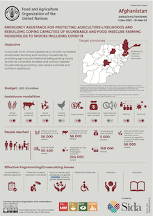 Afghanistan | Emergency assistance for protecting agriculture-livelihoods and rebuilding coping capacities